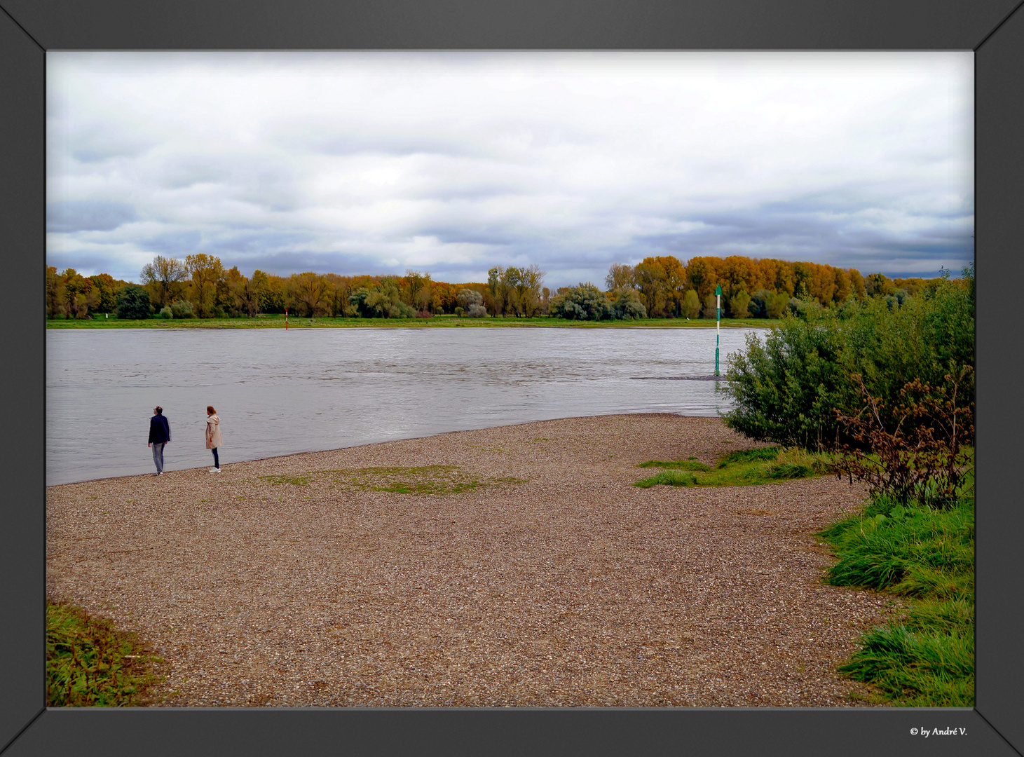 Herbstidylle am Rhein