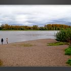 Herbstidylle am Rhein