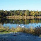 Herbstidylle am See