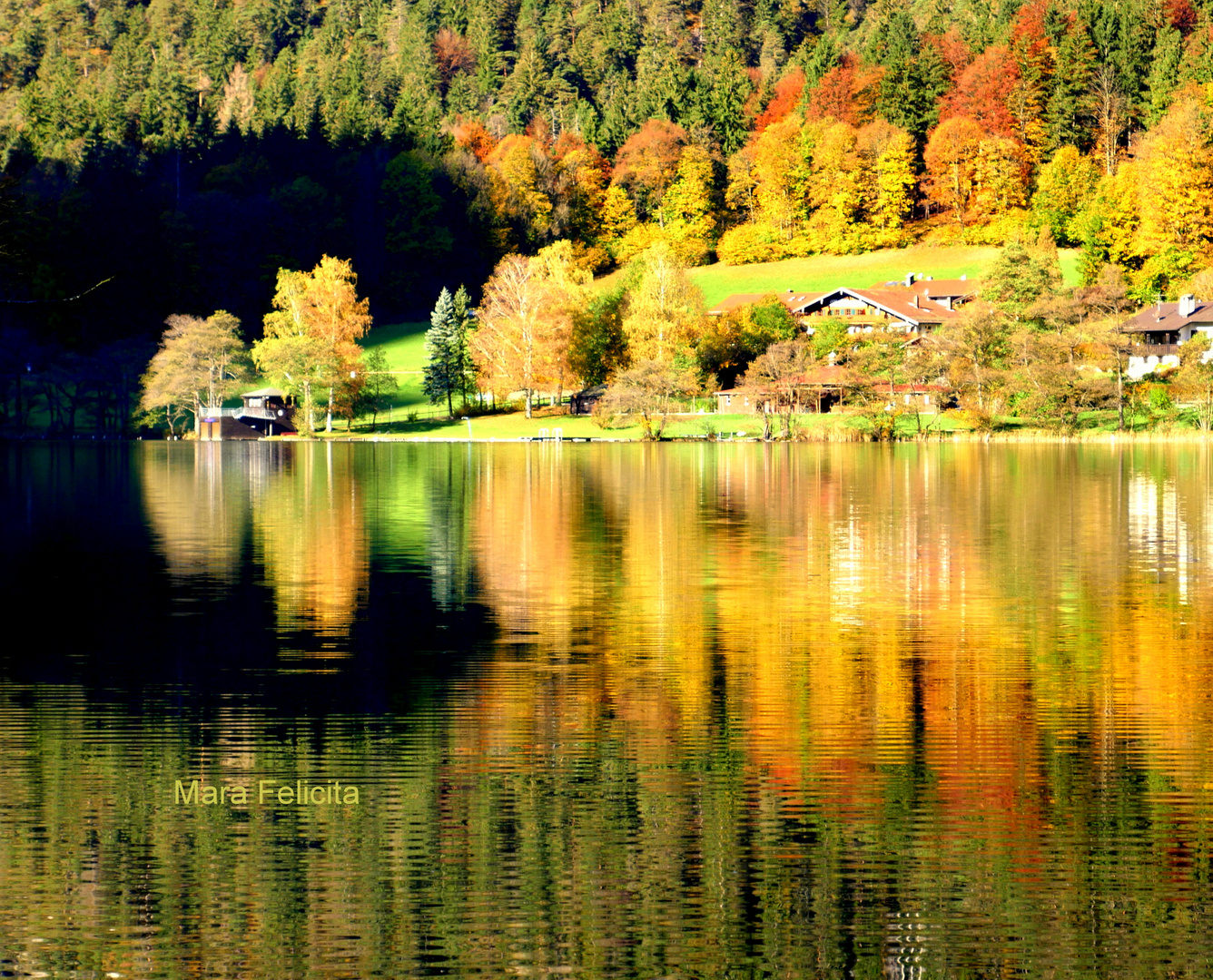 HERBSTIDYLLE AM SEE - OBERBAYERN