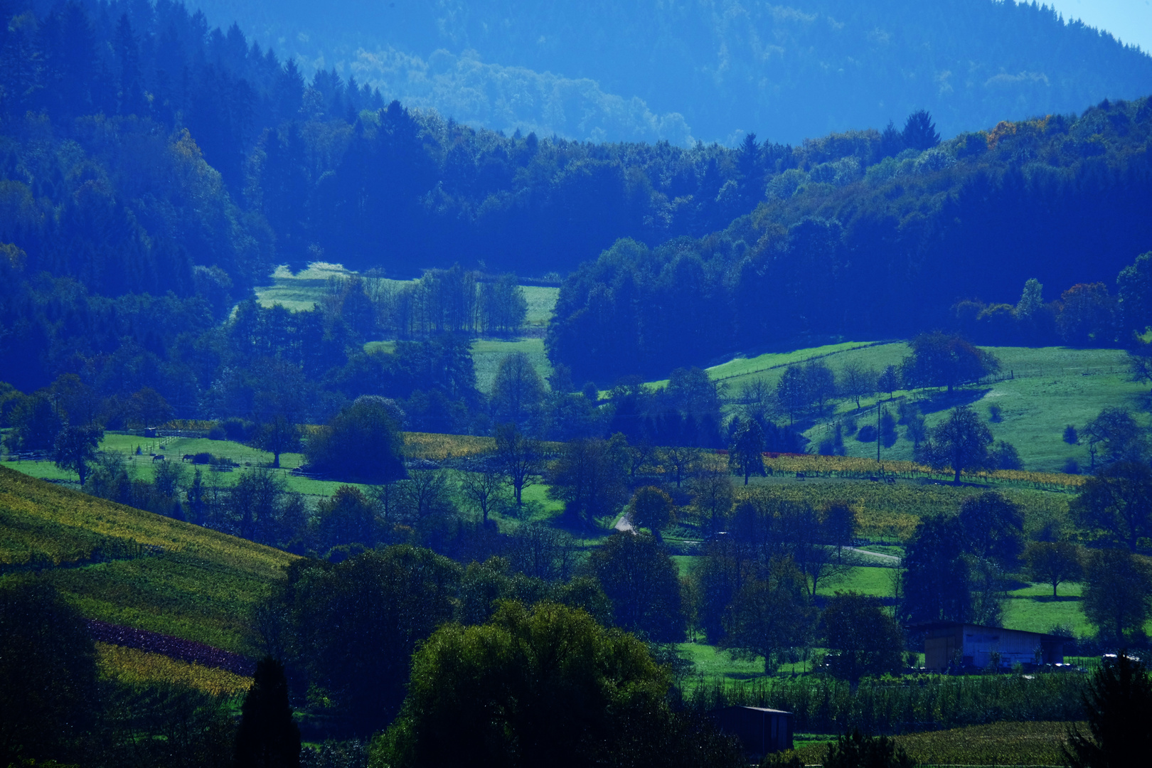 Herbstidylle bei Laufen