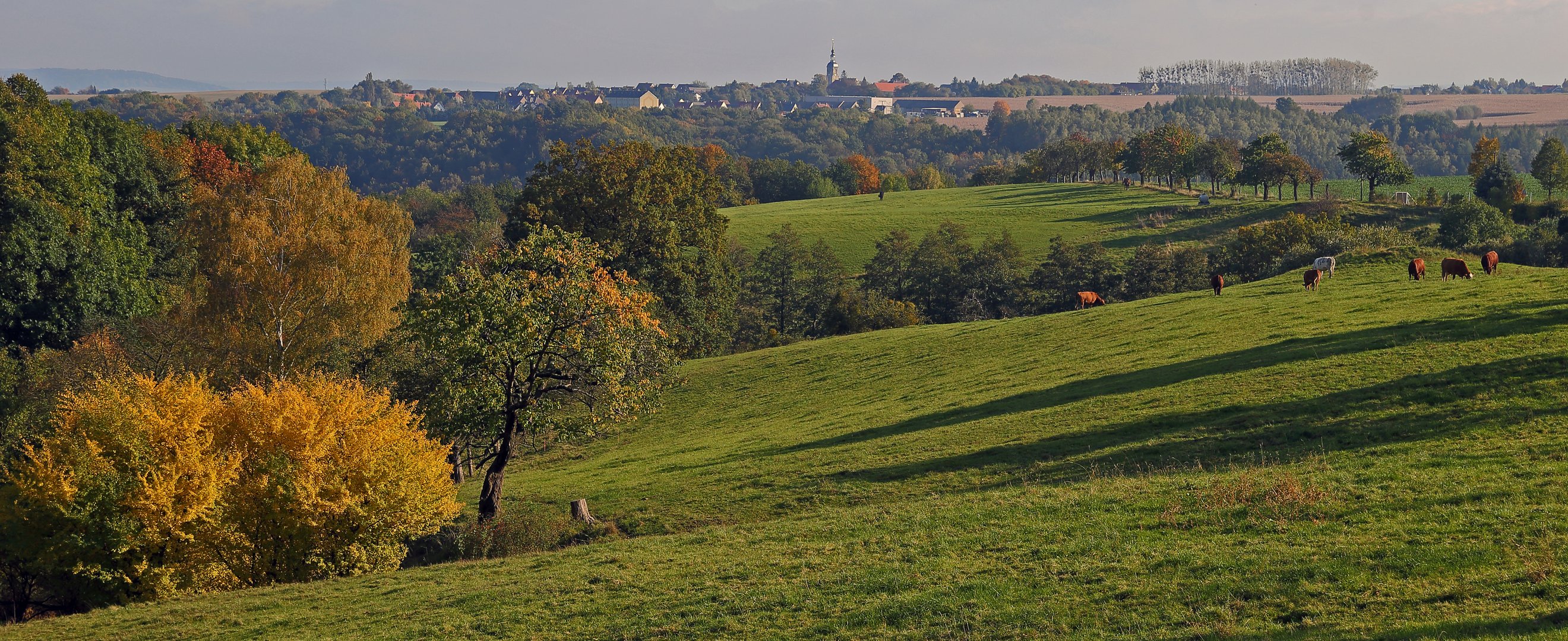 Herbstidylle im LK Sächsische Schweiz-Osterzgebirge