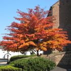 Herbstidylle in Landscheid