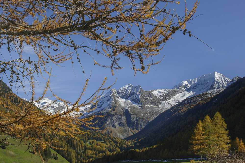 ... Herbstidylle - Südtirol ...