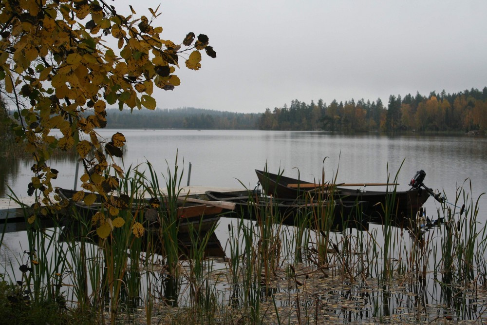 Herbstiger tag im Sweden