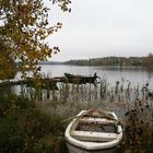 Herbstiger tag im Sweden ll