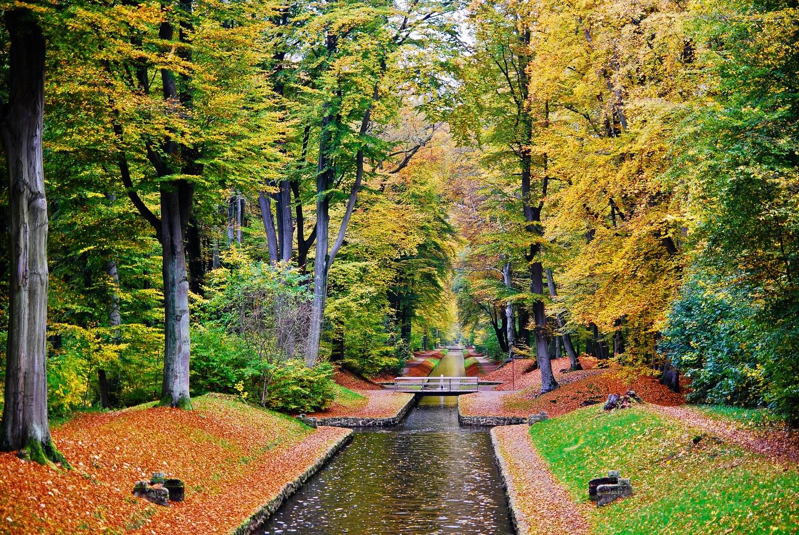 Herbst,im Schloßpark Ludwigslust