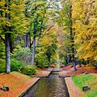 Herbst,im Schloßpark Ludwigslust