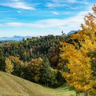 Herbst_im_Menzberg