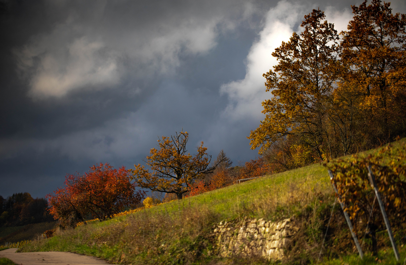 Herbstimmung