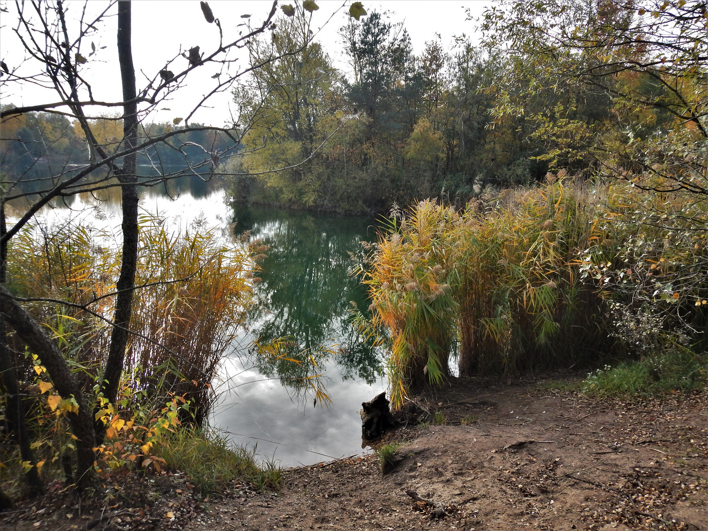 Herbstimmung am Anglersee in Hockenheim