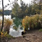 Herbstimmung am Anglersee in Hockenheim