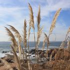 Herbstimmung am Atlantik