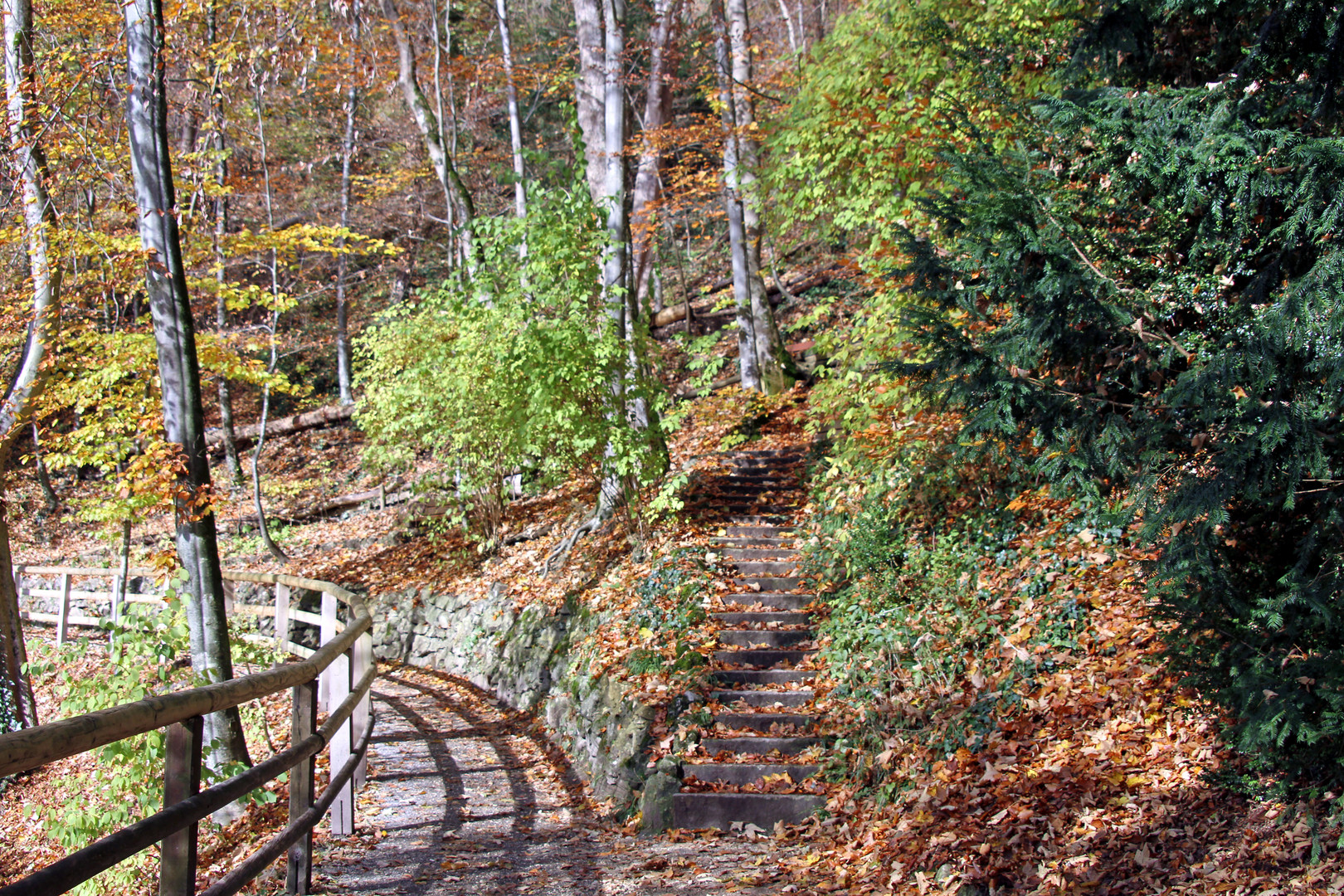 Herbstimmung am Blautopf in Blaubeuren 3