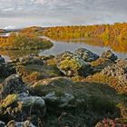 Herbstimmung am Myvatn