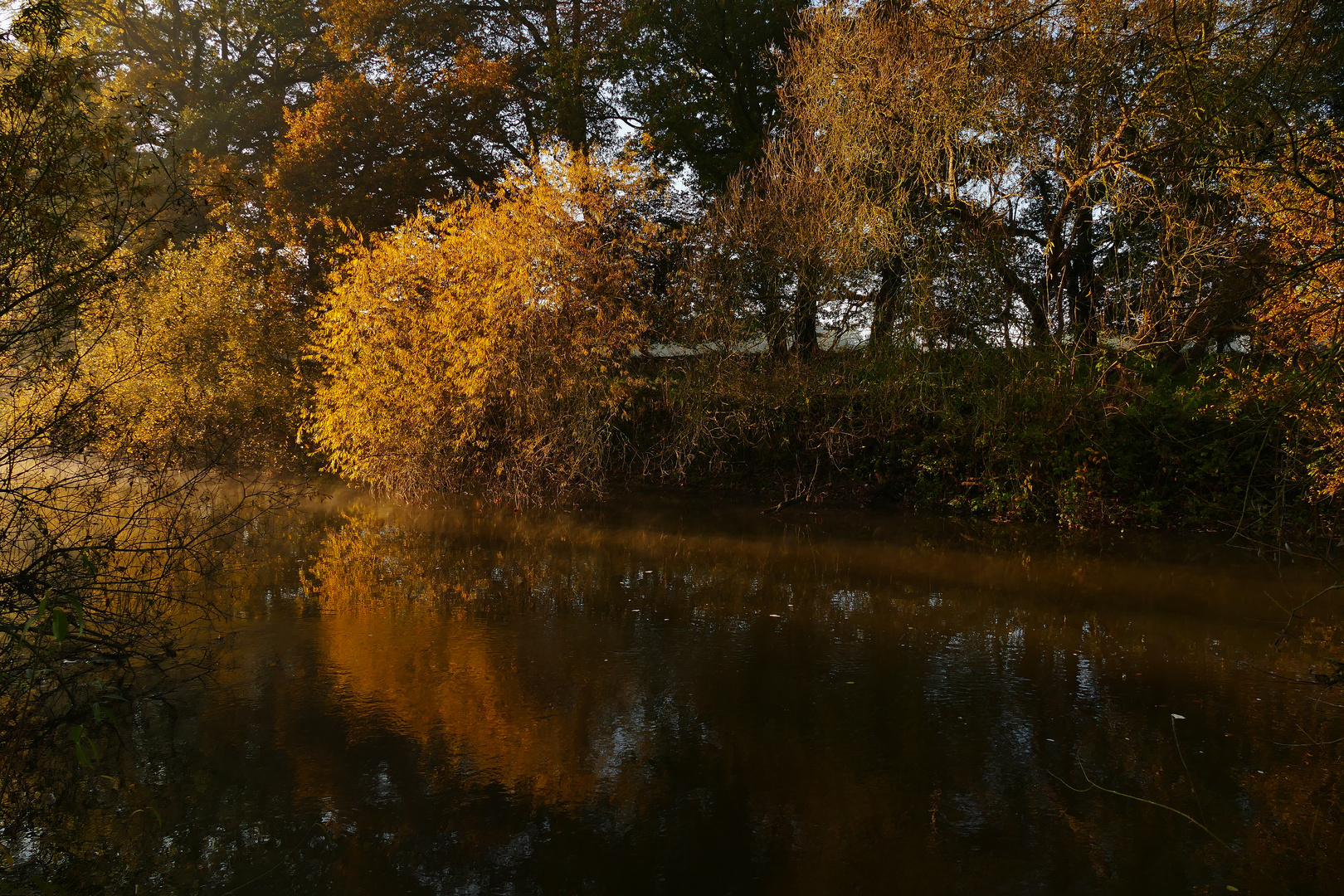 Herbstimmung an der Hunte