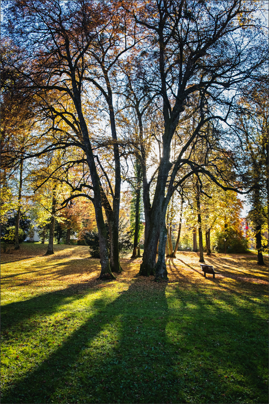 /// Herbst.im.Park ///