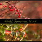 Herbstimpessionen 2014