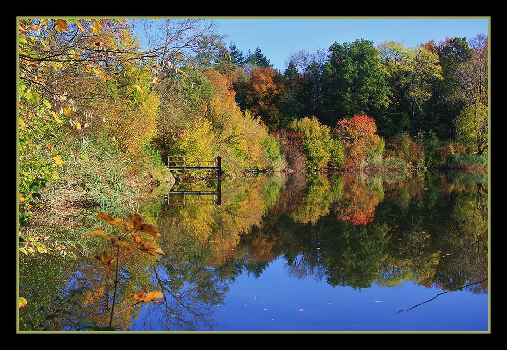 Herbstimpression