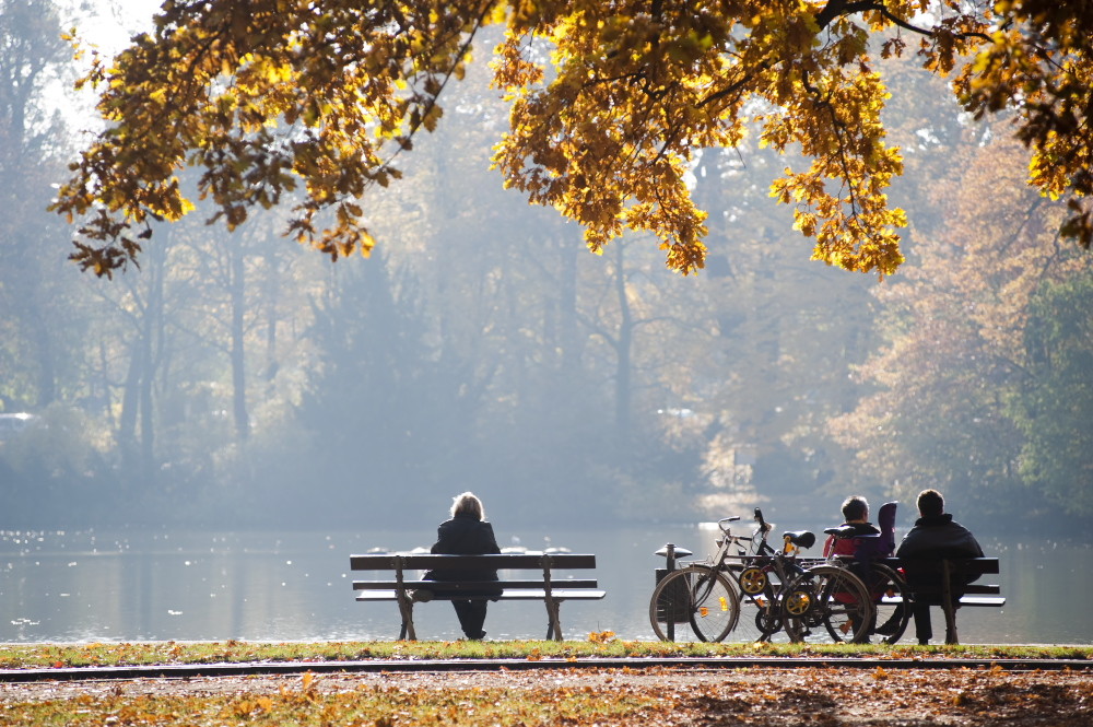 Herbstimpression