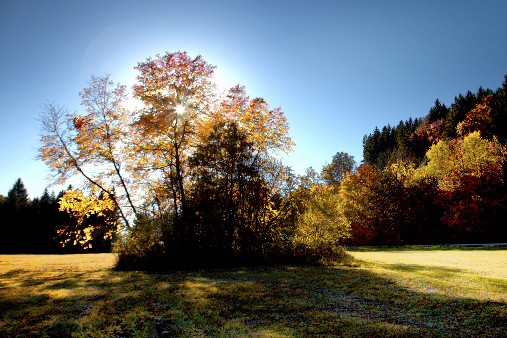 Herbstimpression