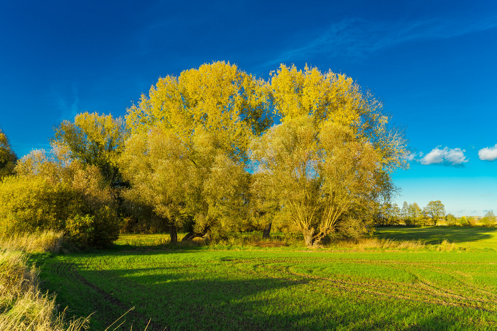 Herbstimpression