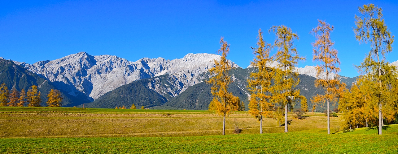 Herbstimpression