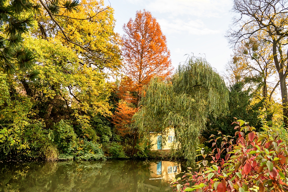 Herbstimpression