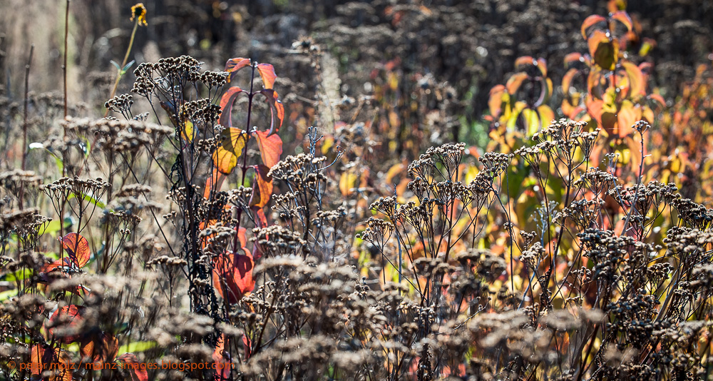 Herbstimpression