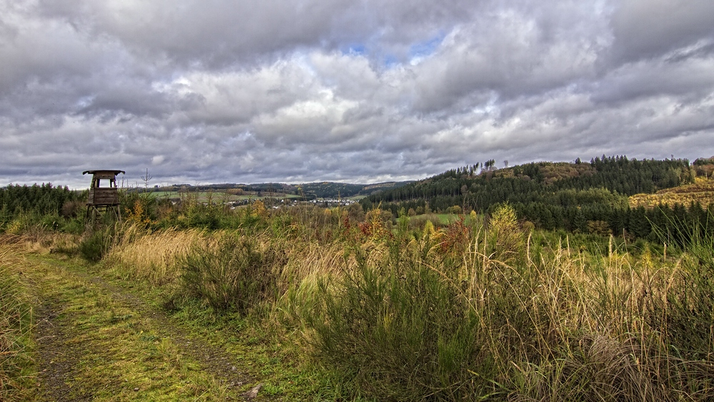 Herbstimpression