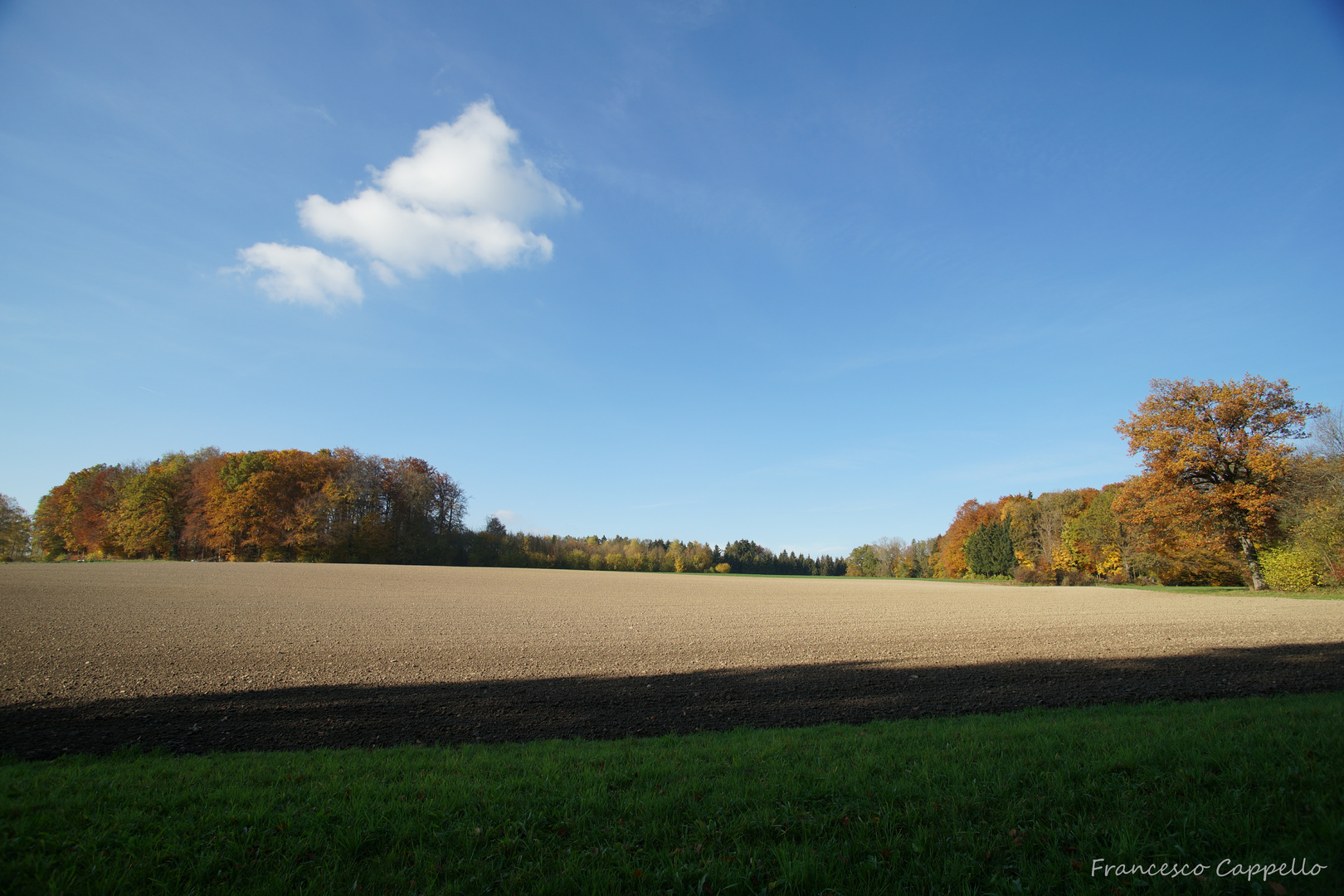 Herbstimpression 1