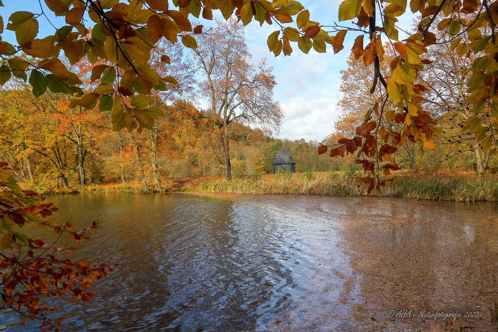 Herbstimpression - 1