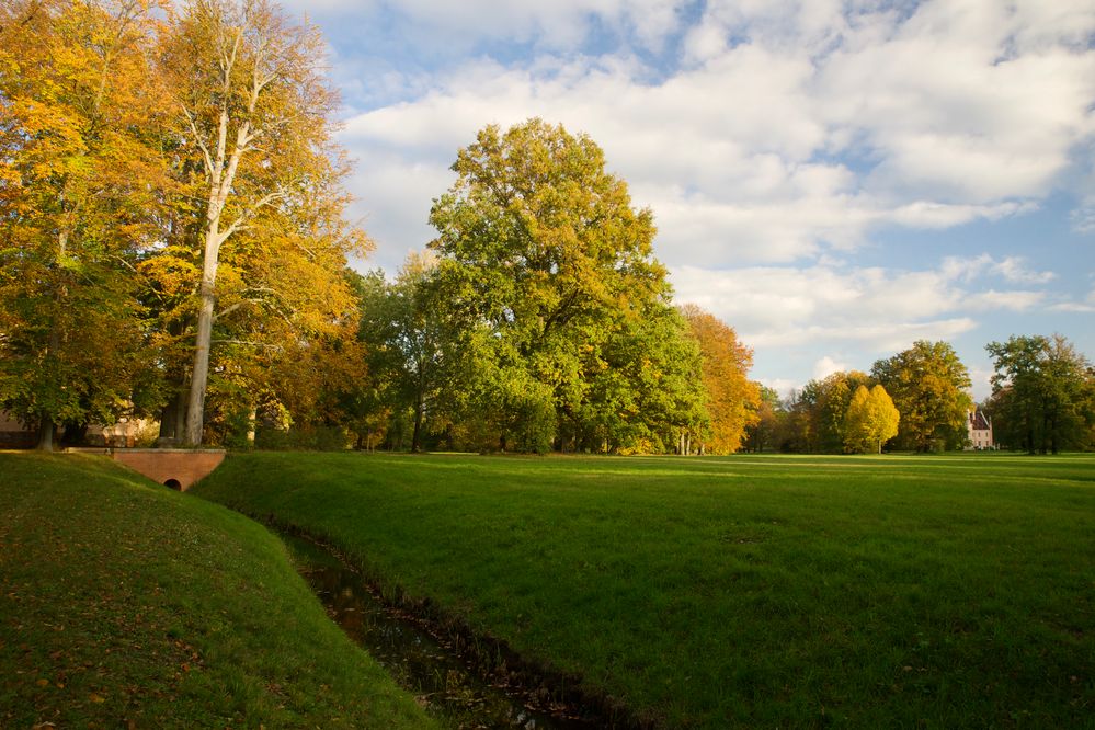 Herbstimpression 1                 Branitzer Park 2020