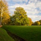 Herbstimpression 1                 Branitzer Park 2020