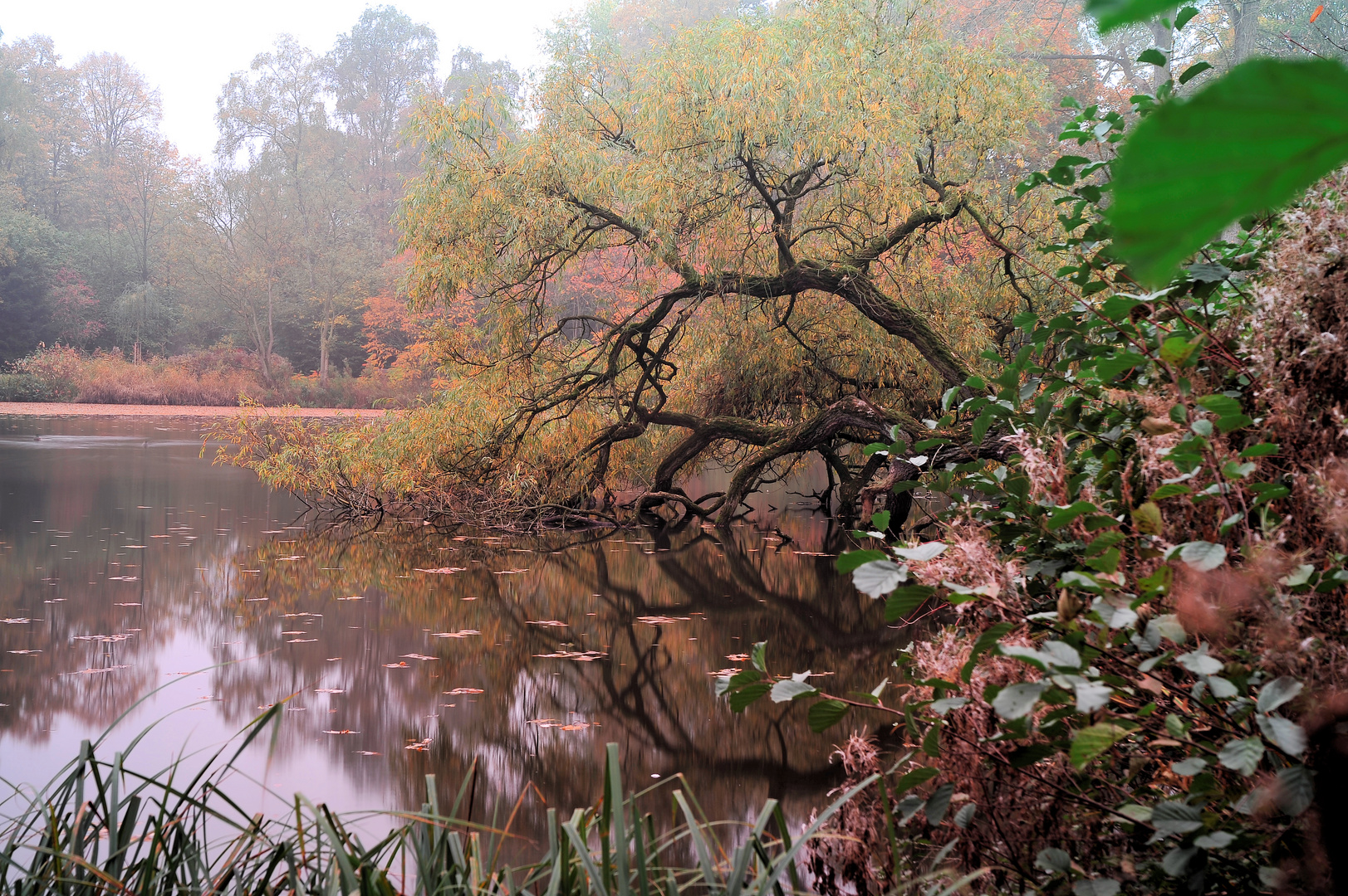 Herbstimpression