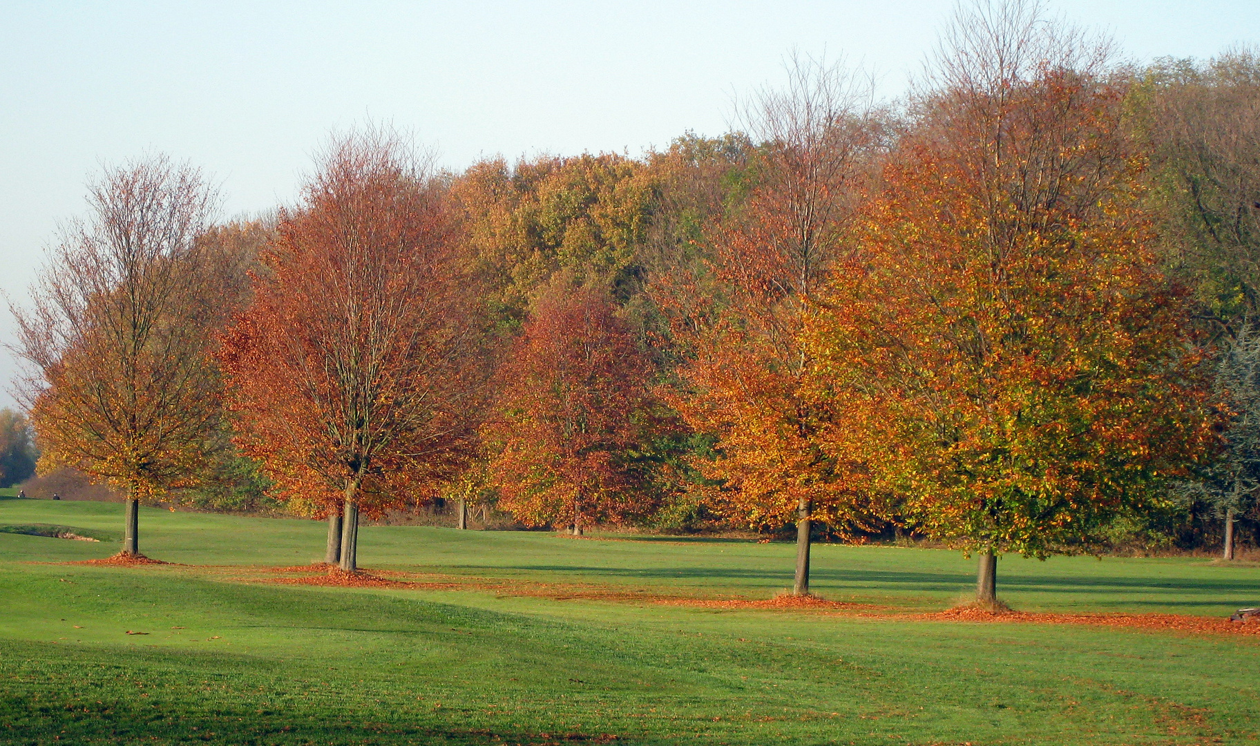 Herbstimpression ...