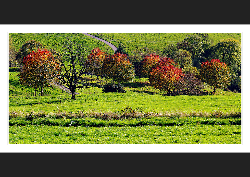 Herbstimpression