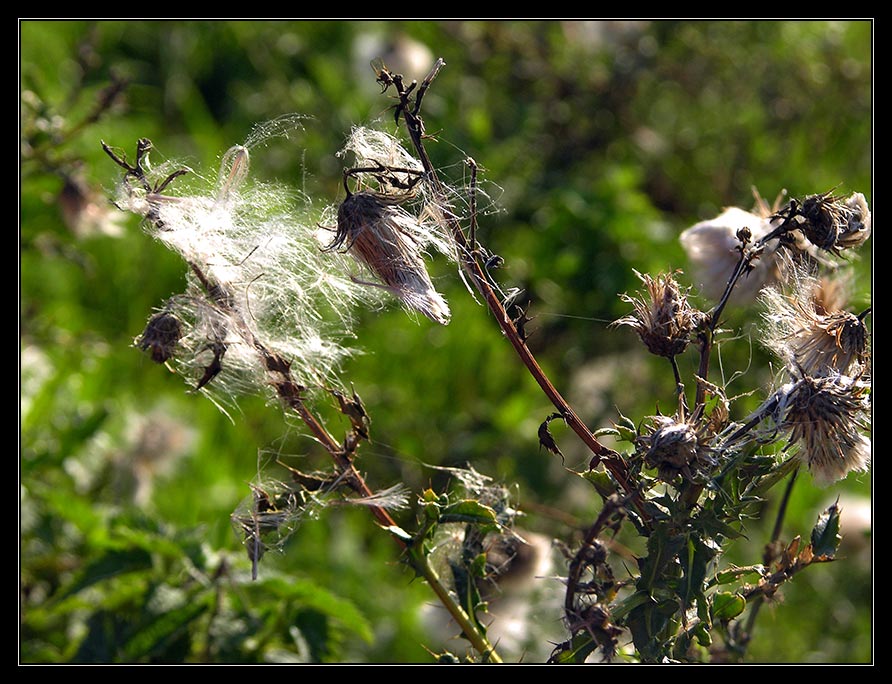 Herbstimpression