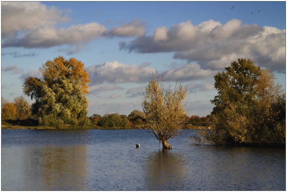 Herbstimpression (2)