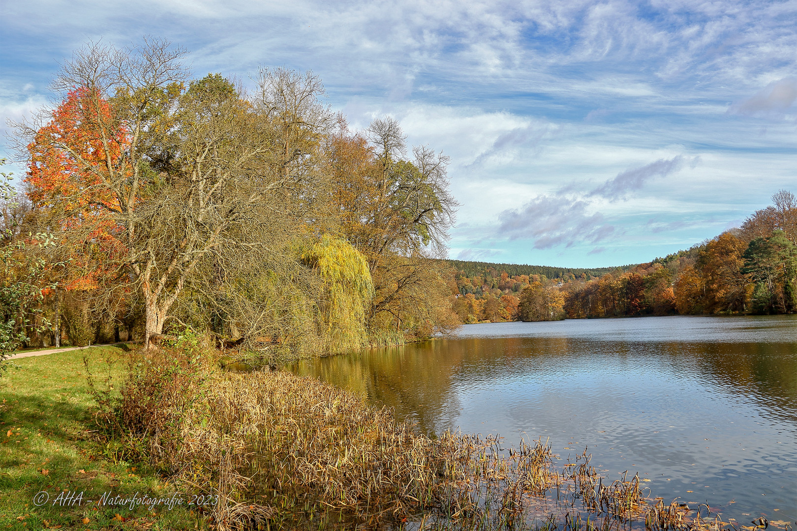 Herbstimpression - 2