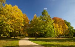 Herbstimpression 2  Branitzer Park 2020