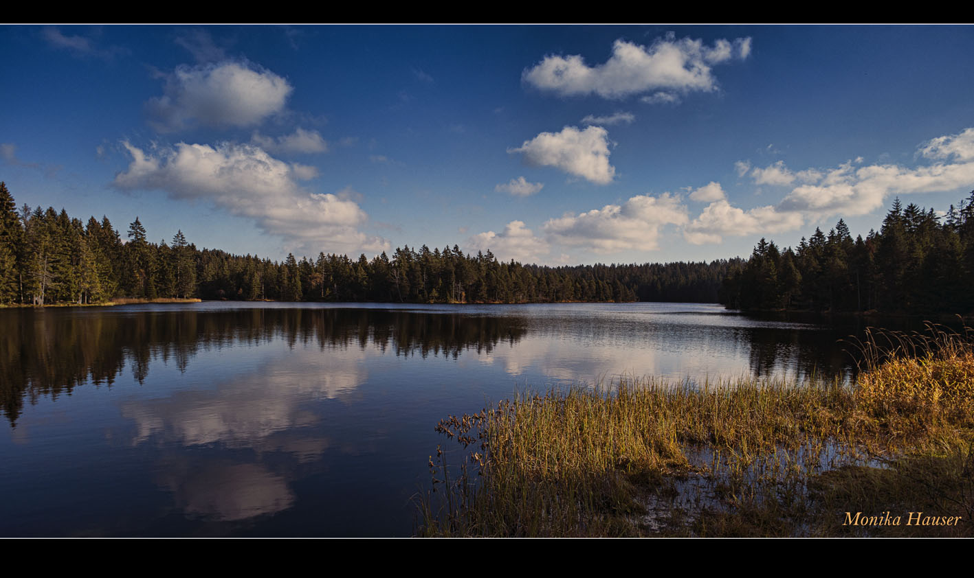 Herbstimpression 2014