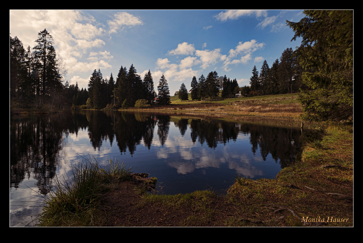 Herbstimpression 2014 I