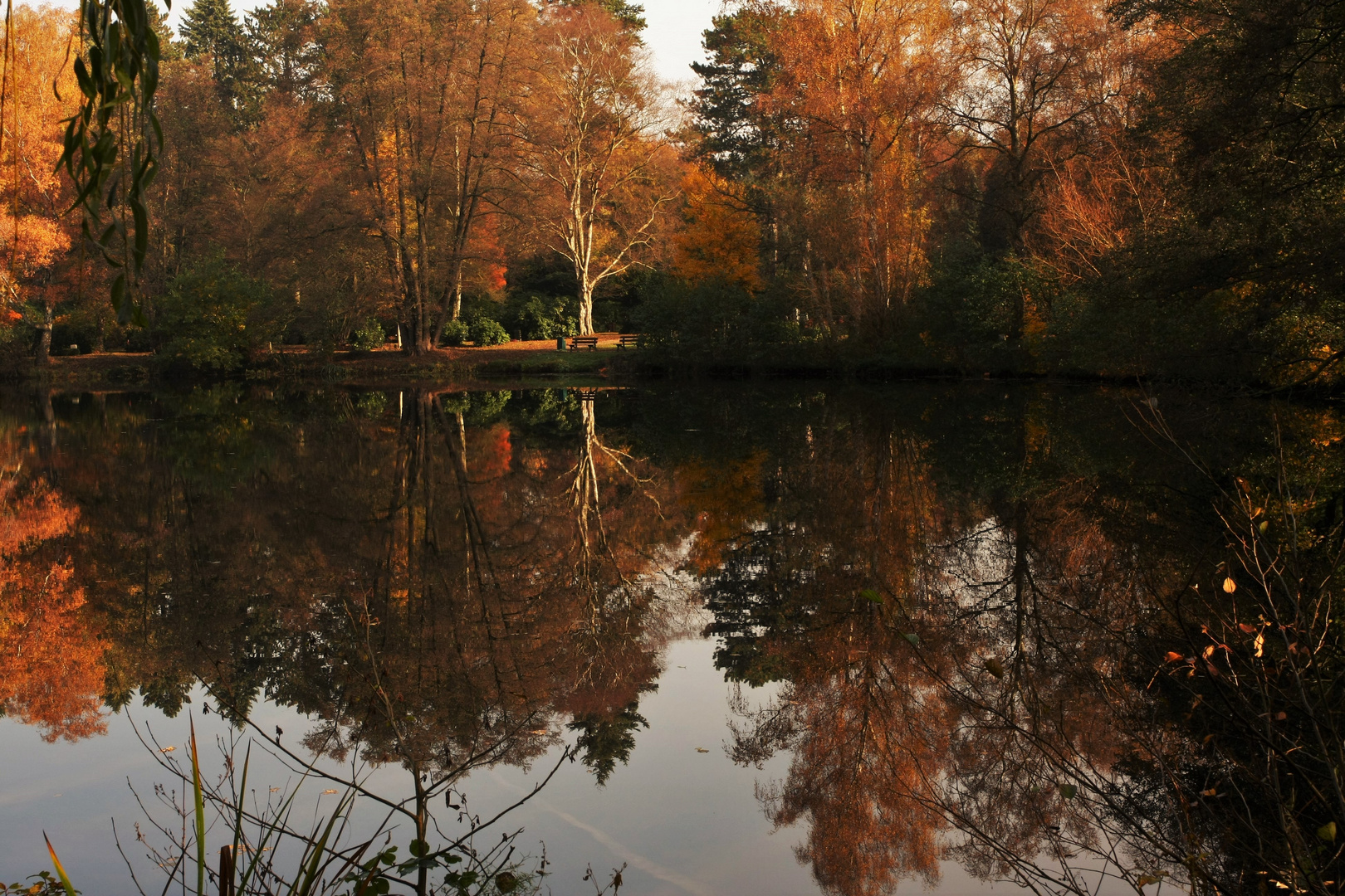 Herbstimpression 2015.1