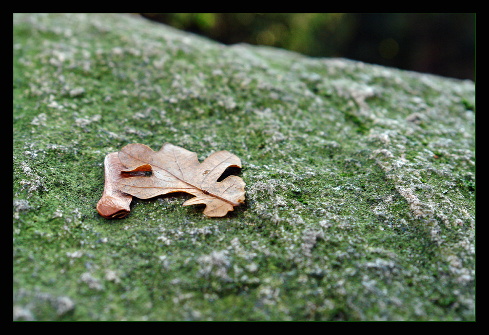 Herbstimpression