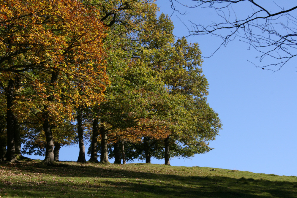 Herbstimpression