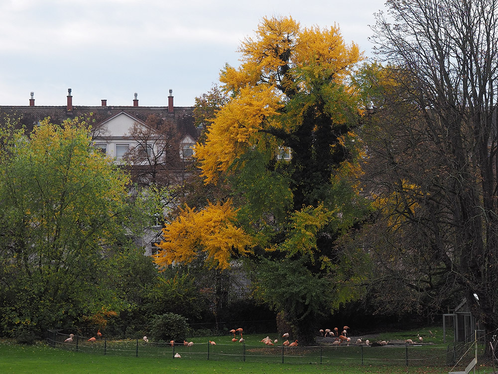 Herbstimpression