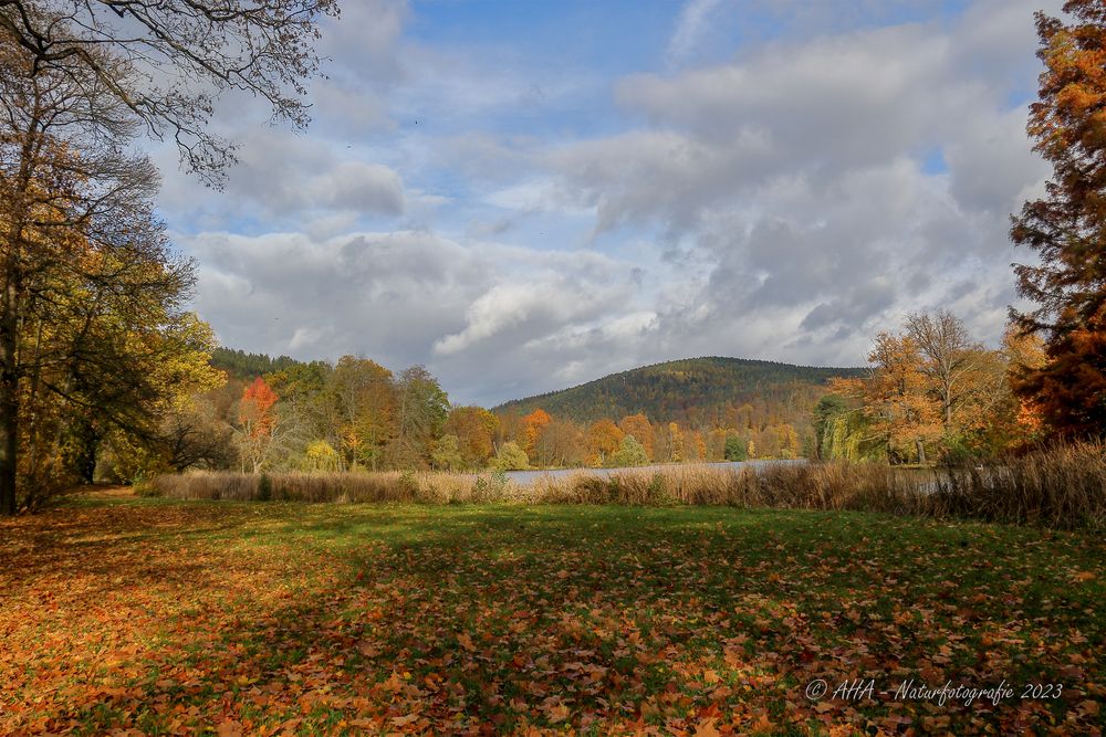 Herbstimpression - 3