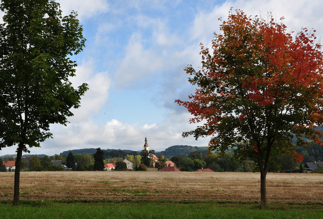 Herbstimpression 3