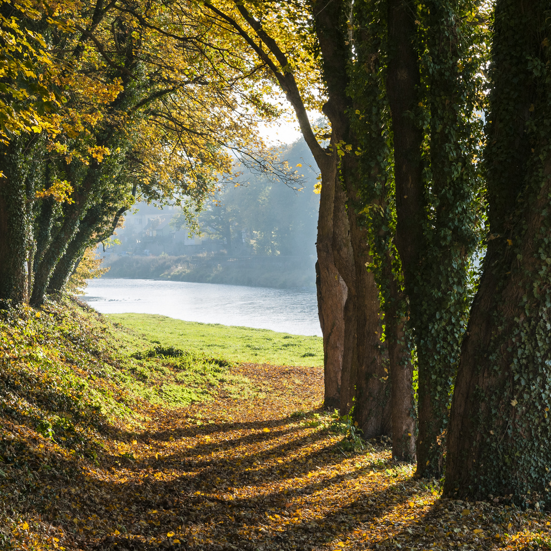 Herbstimpression